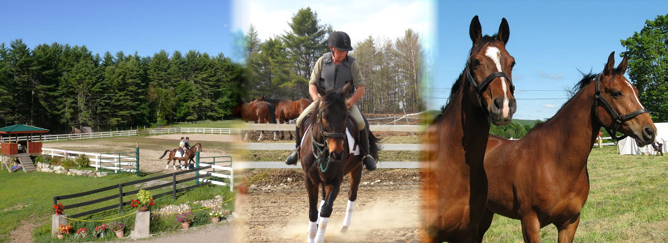 Oak Hill Equestrian Center Riding Lesson
