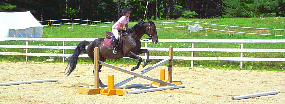 Oak Hill Equestrian Center Riding Lesson